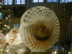 Wertheim Glass Museum